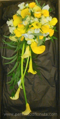 Contemporary Yellow Calla