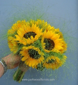 Sunflower & Grasses