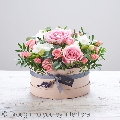 Hatboxes are back!