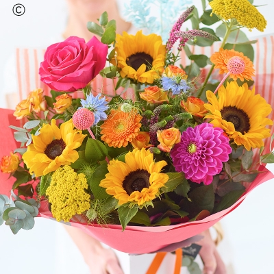 Stunning SUNFLOWERS