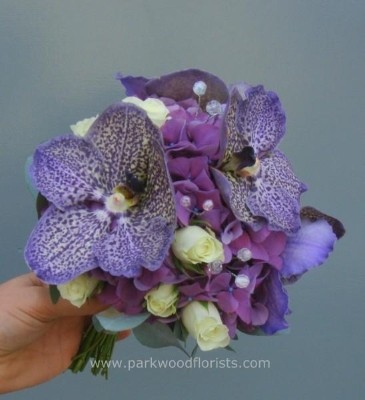 Vanda & Hydrangea Bridesmaid