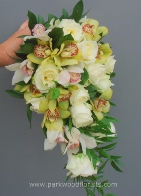 Cymbidium & Rose Shower