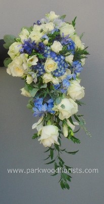 Ivory & Blue Shower