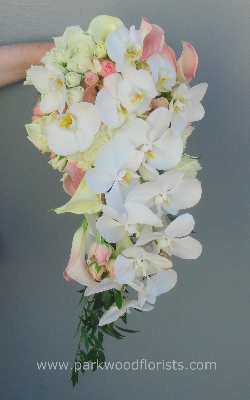 Ivory & Peach Orchid Shower