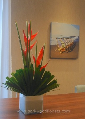 Heliconia Fan