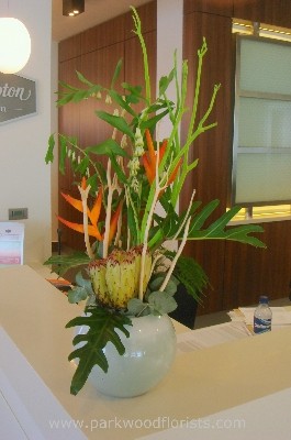 Heliconia & Protea