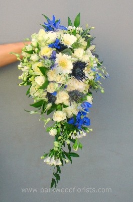 Rose & Delphinium Shower