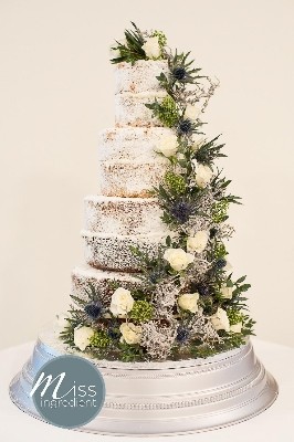 Winter Naked Cake