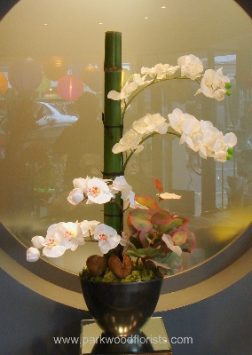 Oriental Orchids