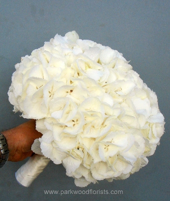 White Hydrangea Ball