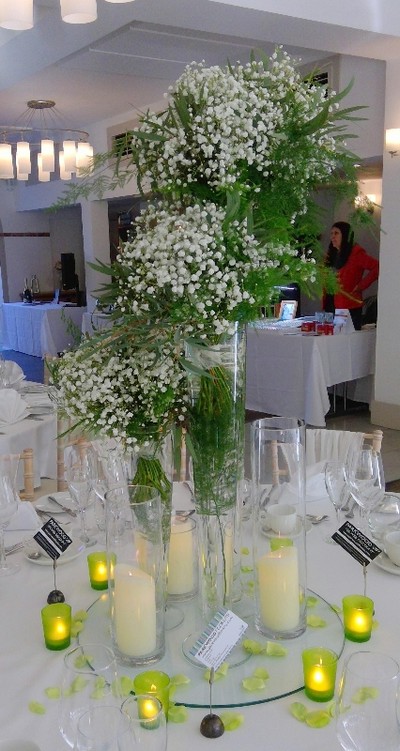 Gypsophila Towers