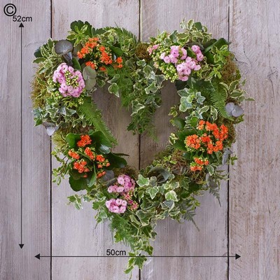 Living Plant Wreath