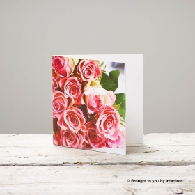 Pink Rose Blank Greetings Card