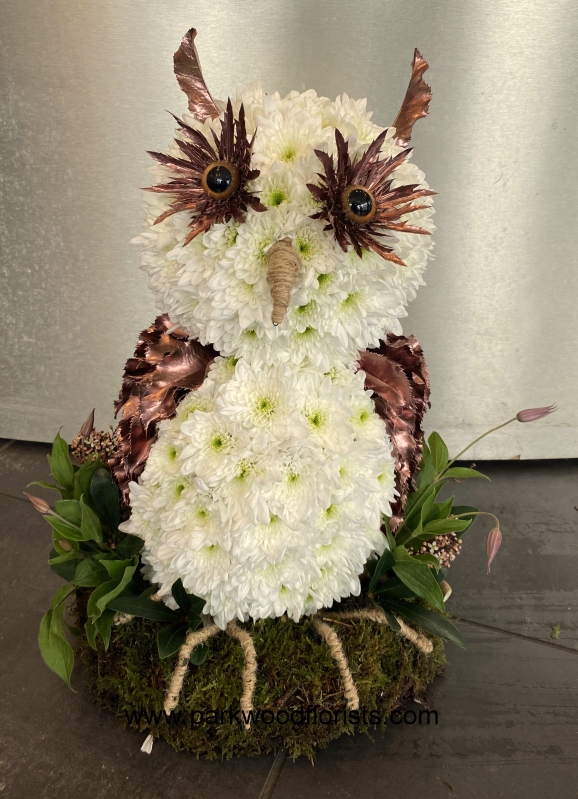 3D Owl Tribute