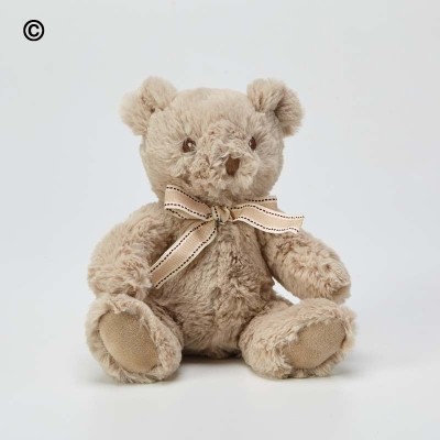 Recycled Ralph Teddy