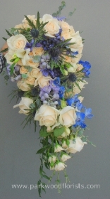 Ivory, Purple and true Blue