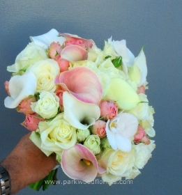 Ivory & Peach Callas