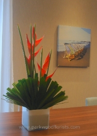 Heliconia Fan