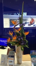 Strelitzia Corporate Vase