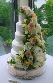 Floral Shower Cake
