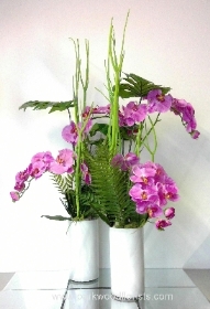 Silk Orchid Cylinders