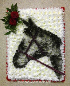 Horse Tribute