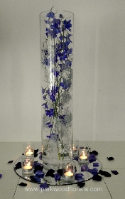 Delphinium Cylinder