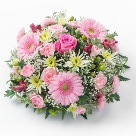 Pink Posy