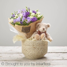 Little Lilacs Baby Bundle