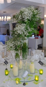 Gypsophila Towers