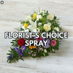 Florist Choice Spray