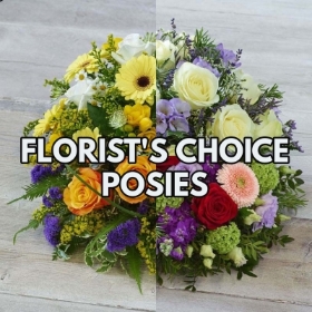 Florist Choice Posy