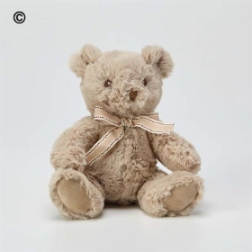 Recycled Rosie Teddy