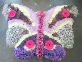 Brilliant Butterfly