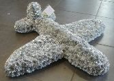 Silver Spitfire