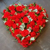 Red Carnation Heart