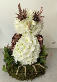 3D Owl Tribute