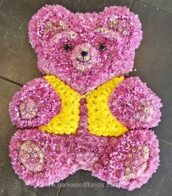 3D TEDDY