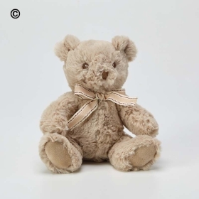 Recycled Ralph Teddy