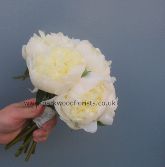 Cream Peonies  WBRI035