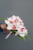 Moth Orchid Posy  WBRI217