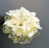 White Calla and Hydrangea  WBRI375