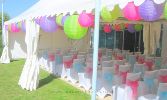 Chinese Lanterns  WCER012