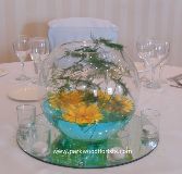 Gerbera Goldfish Bowl