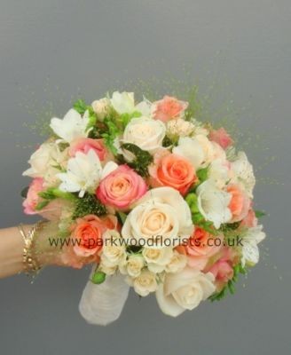 Coral, Peach & Ivory  WBRI040