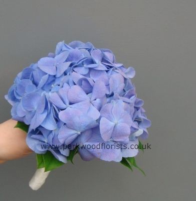 Blue Hydrangea Posy  WBRI047