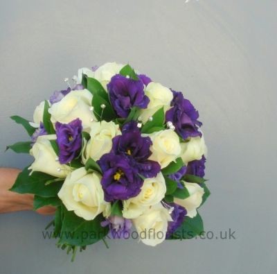 Purple & Ivory  WBRI360