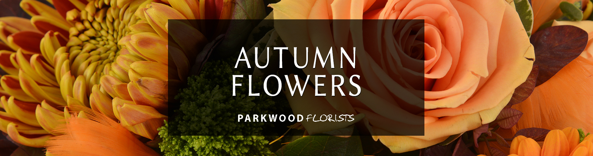 Flower delivery Bournemouth, Poole, Christchurch PARKWOOD Florists